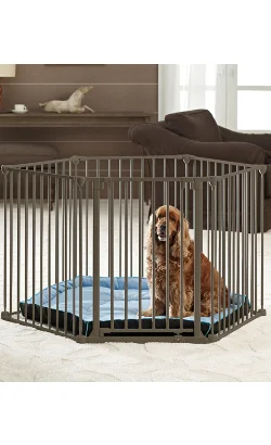 nutripetplan500501