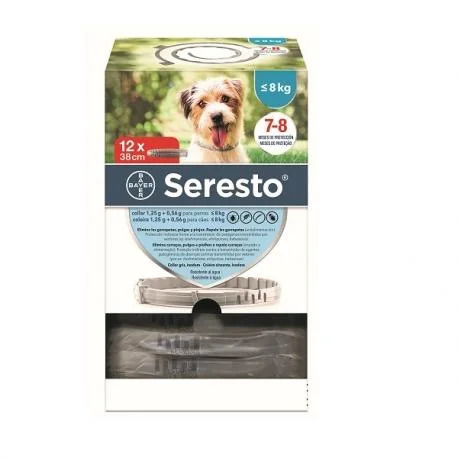 popetmascotas-437829