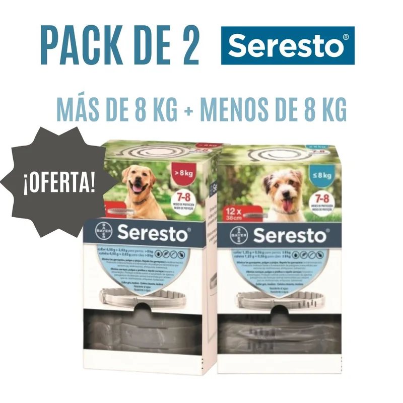 popetmascotas-437867