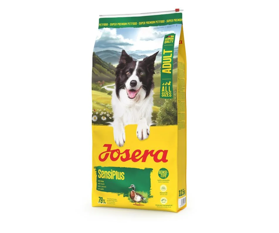 popetmascotas-438369