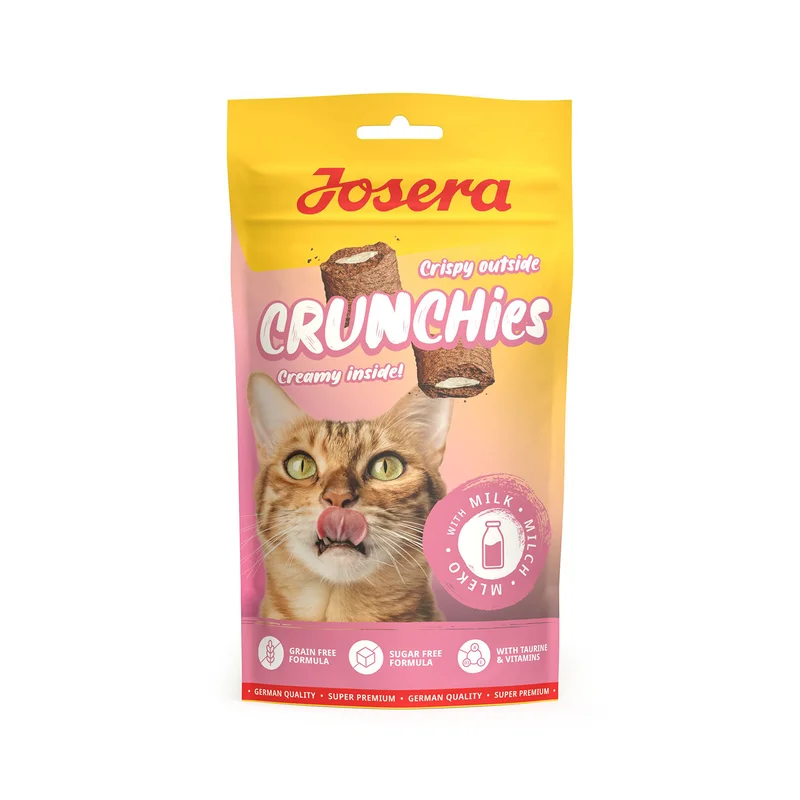 popetmascotas-438880