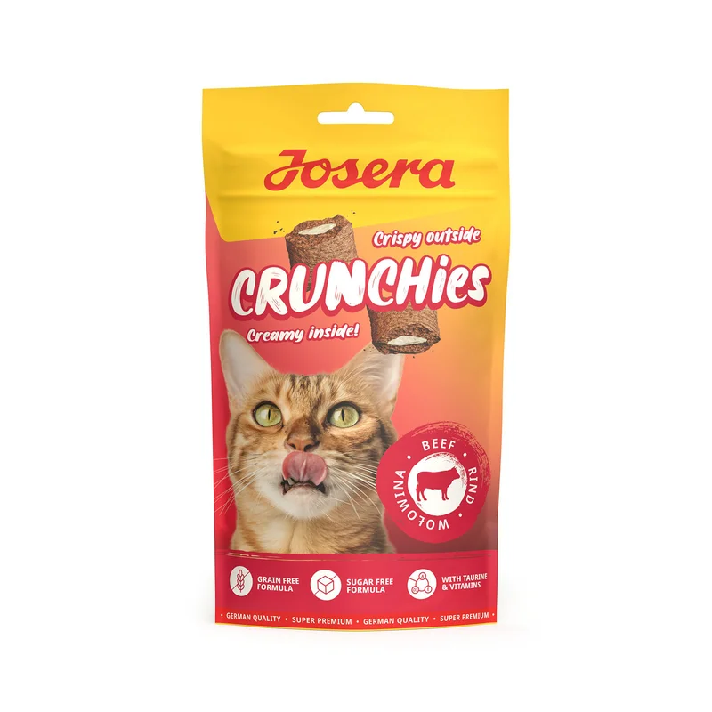 popetmascotas-438911