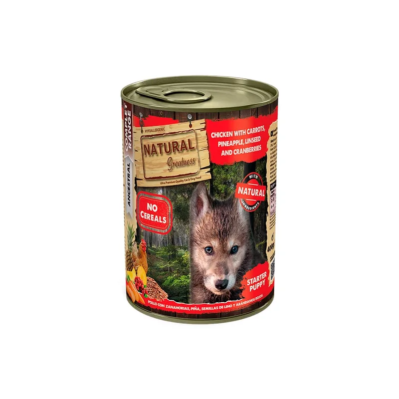 popetmascotas-440190