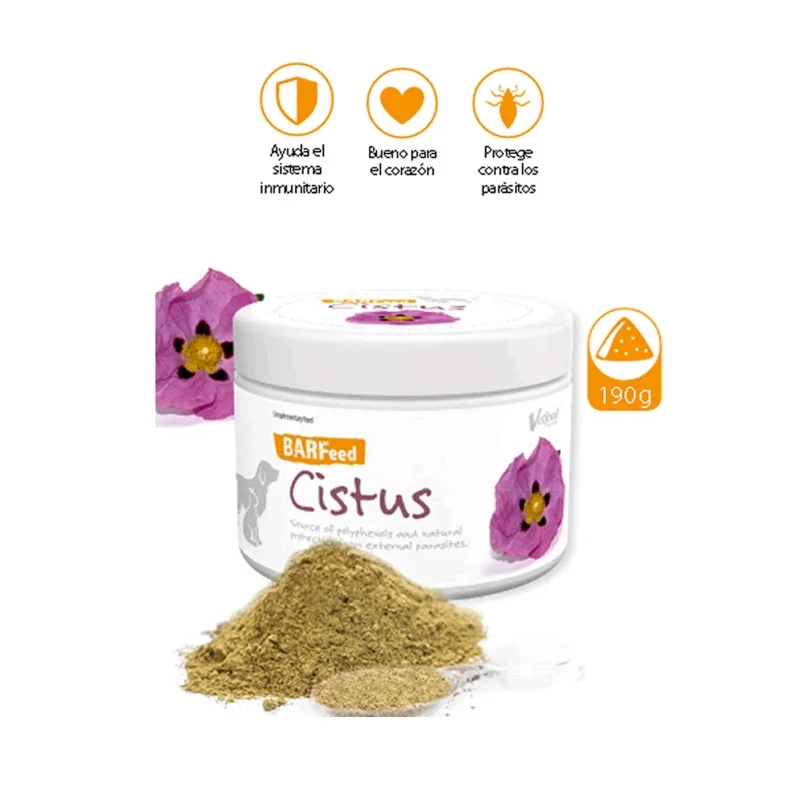 supermascota-498163
