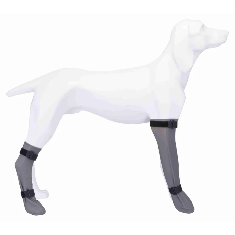 totdanimals1-520991
