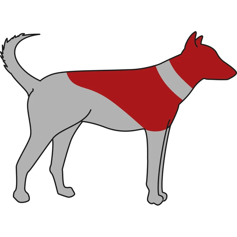 totdanimals1-521486