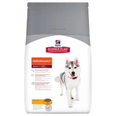 totdanimals1-522034