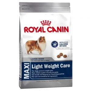 totdanimals1-523516