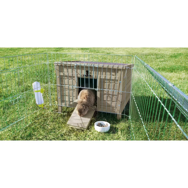 totdanimals3-525237