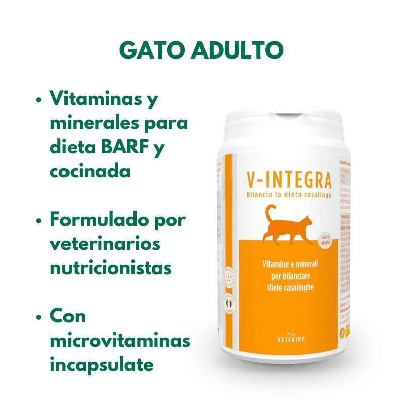 viralataspetshop-440381