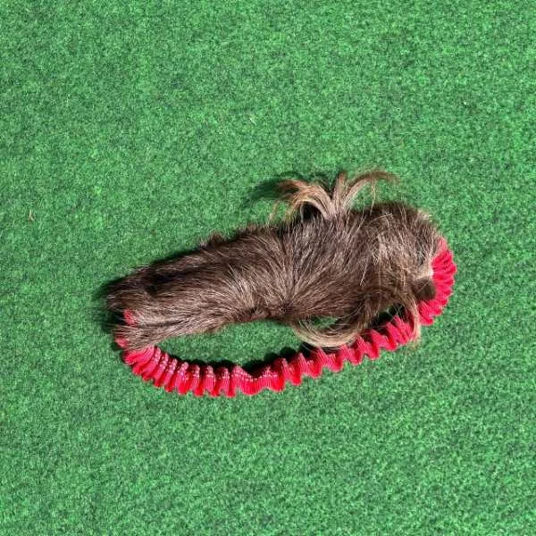 viralataspetshop-440872