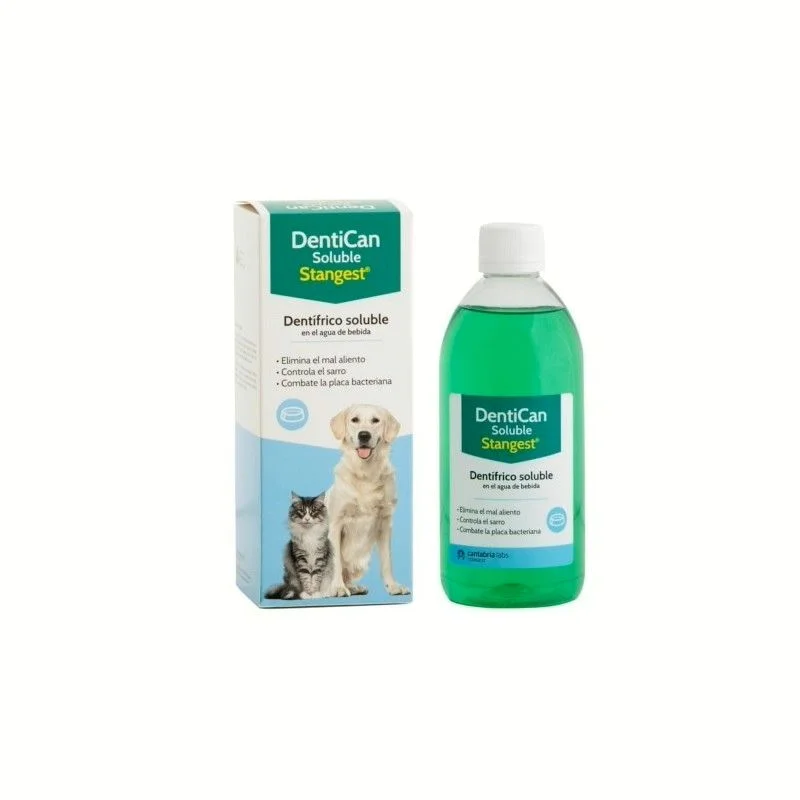 viralataspetshop-440929