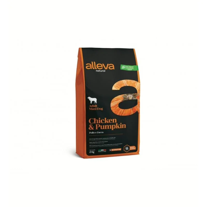 viralataspetshop-441069