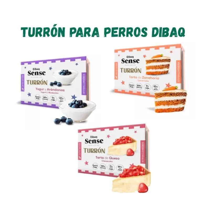 viralataspetshop-441527