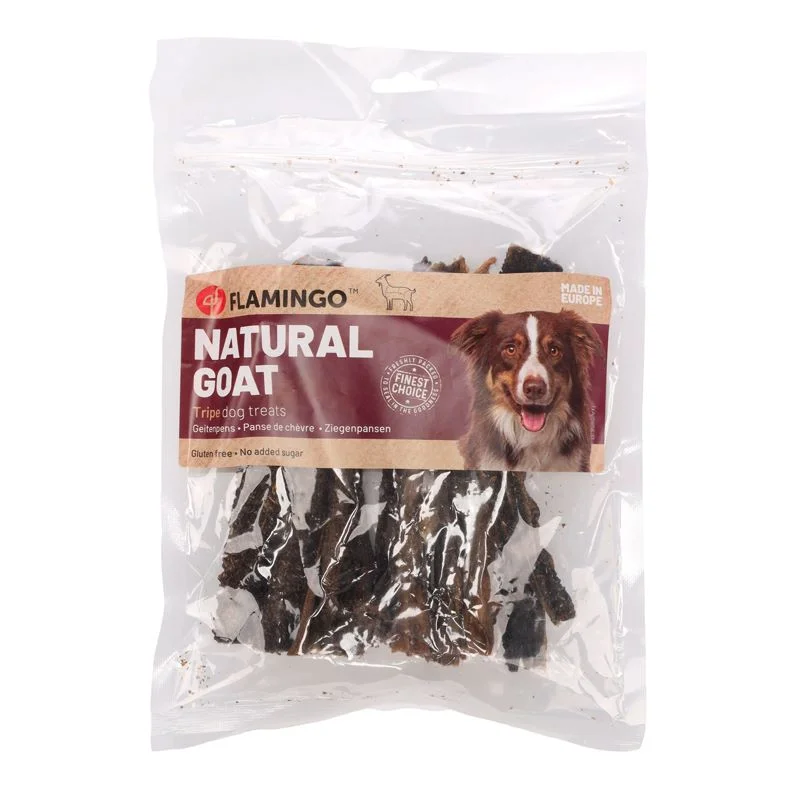 viralataspetshop-442375