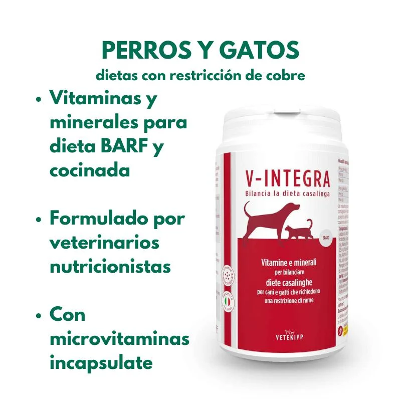 viralataspetshop-442567